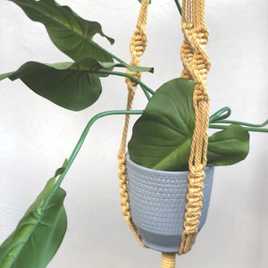 Plant Hangers ~ Assorted
