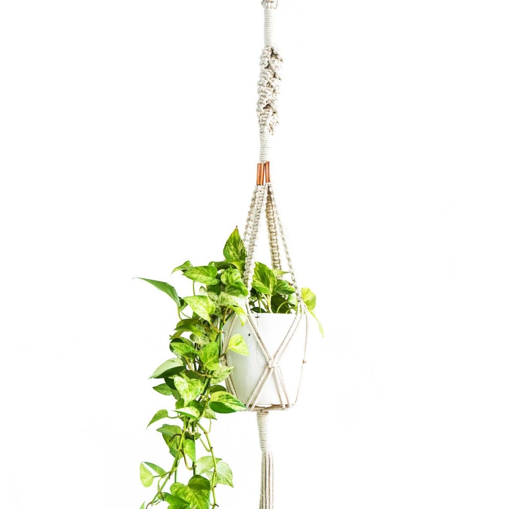Macrame Plant Hanger ~ Copper Twisted Square